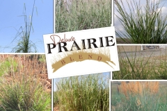 Deluxe Prairie Blend